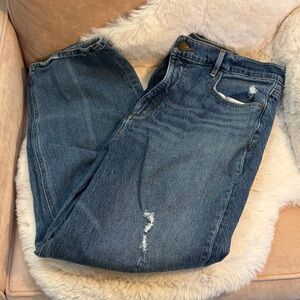 NWOT Loft The 90s High Waist Straight Women's Jeans